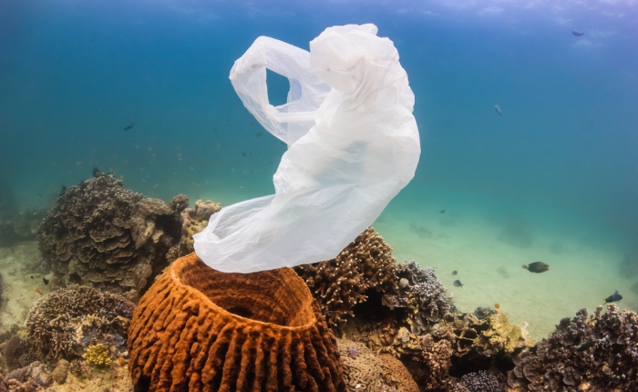 Why biodegradable plastic is not the wonder product you think it is.
